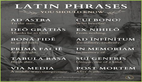 A Profile Of A Latin Beauty